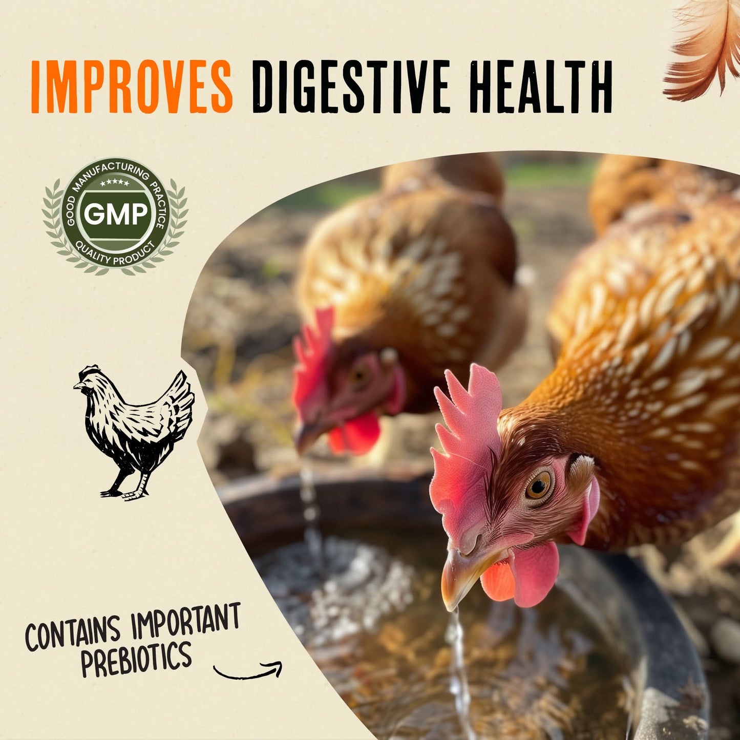 Mejora la salud digestiva y la inmunidad del rebaño de forma natural - Immunity &amp; Digestive Booster