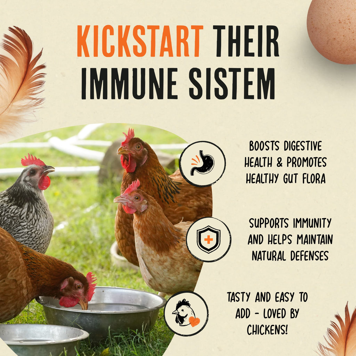 51–75 Flock Size – Winter Immunity Saver Bundle (16 Bottles)
